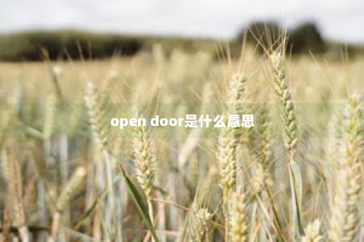 open door是什么意思