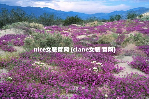 nice女装官网 (clane女装 官网)