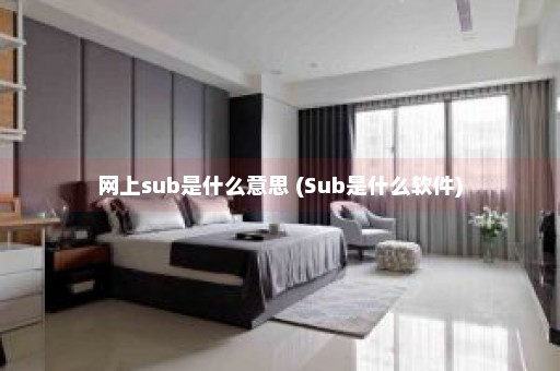 网上sub是什么意思 (Sub是什么软件)