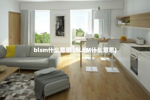 blsm什么意思 (BLSM什么意思)