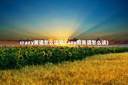 crazy英语怎么读 (Crazy用英语怎么读)