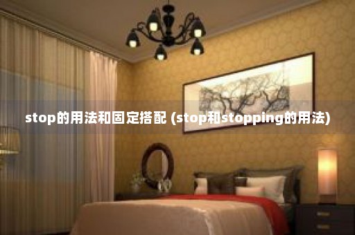 stop的用法和固定搭配 (stop和stopping的用法)