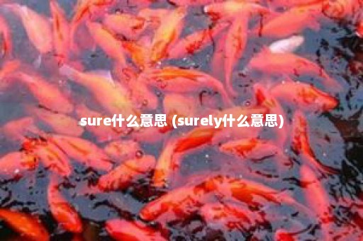 sure什么意思 (surely什么意思)