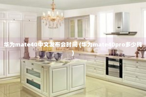 华为mate40中文发布会时间 (华为mate40pro多少钱)