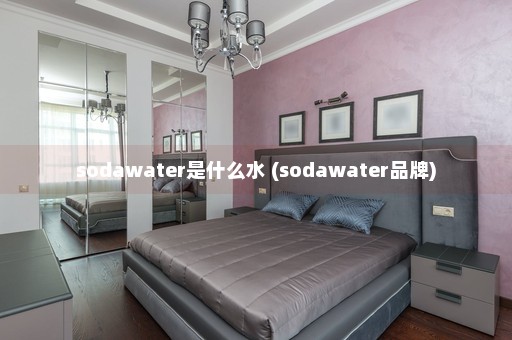 sodawater是什么水 (sodawater品牌)