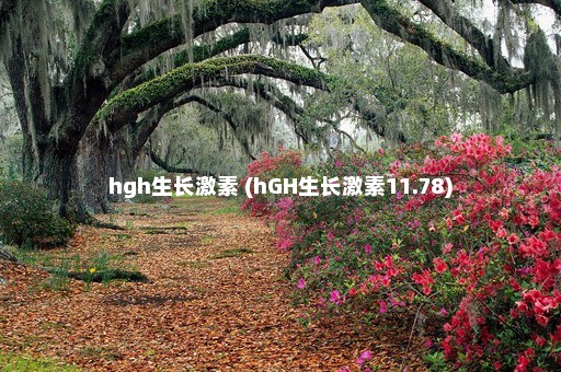 hgh生长激素 (hGH生长激素11.78)