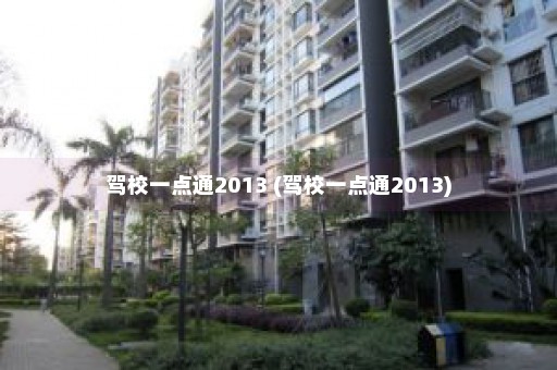 驾校一点通2013 (驾校一点通2013)