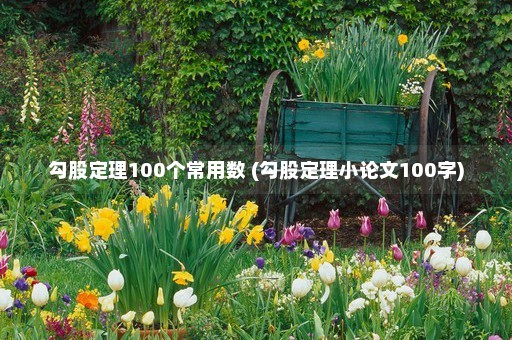 勾股定理100个常用数 (勾股定理小论文100字)