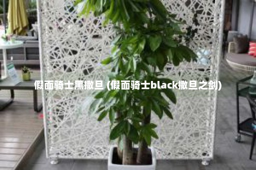 假面骑士黑撒旦 (假面骑士black撒旦之剑)