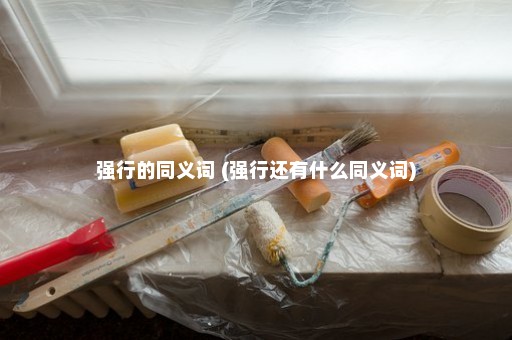 强行的同义词 (强行还有什么同义词)