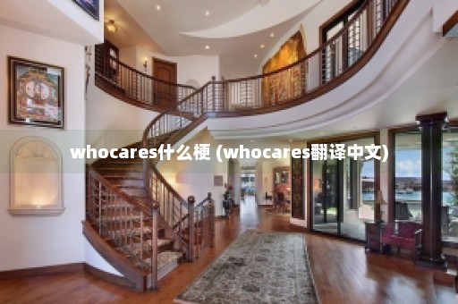 whocares什么梗 (whocares翻译中文)