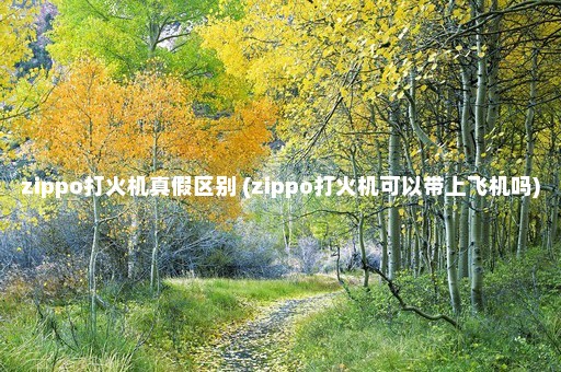 zippo打火机真假区别 (zippo打火机可以带上飞机吗)