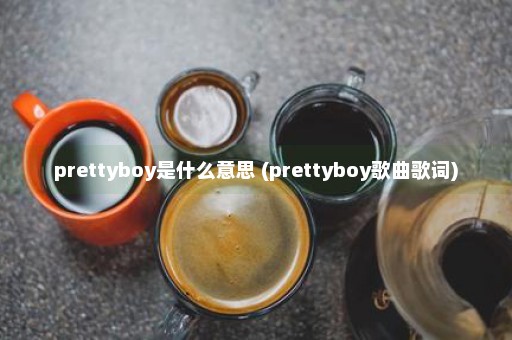 prettyboy是什么意思 (prettyboy歌曲歌词)