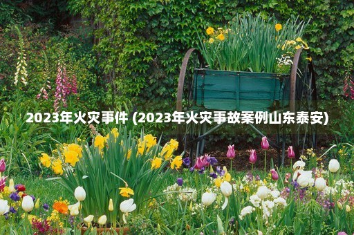 2023年火灾事件 (2023年火灾事故案例山东泰安)