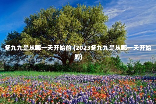 冬九九是从哪一天开始的 (2023冬九九是从哪一天开始的)