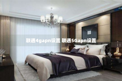 联通4gapn设置 联通5Gapn设置