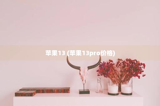 苹果13 (苹果13pro价格)