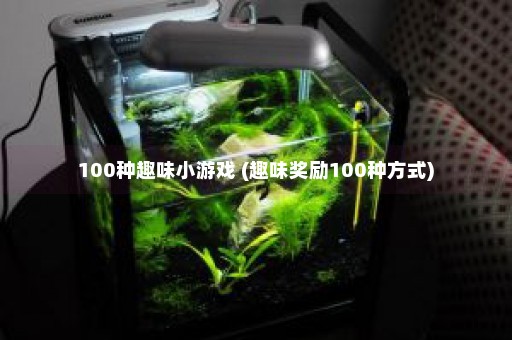 100种趣味小游戏 (趣味奖励100种方式)