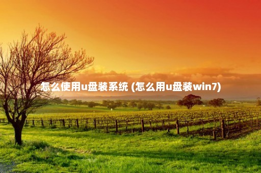 怎么使用u盘装系统 (怎么用u盘装win7)