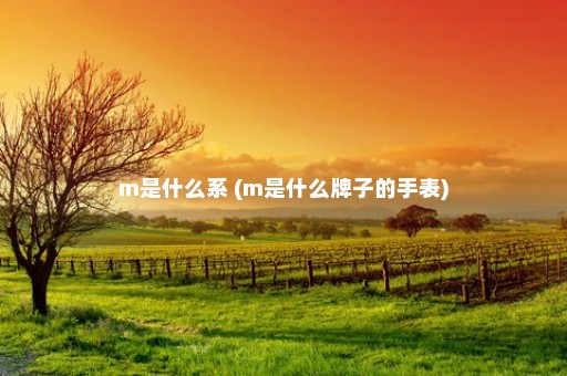 m是什么系 (m是什么牌子的手表)