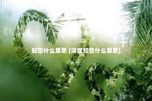 知觉什么意思 (深度知觉什么意思)