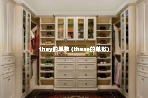 they的单数 (these的单数)