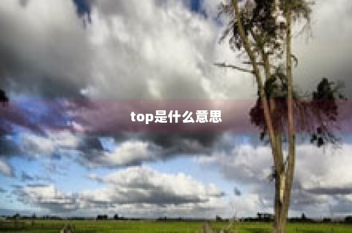 top是什么意思