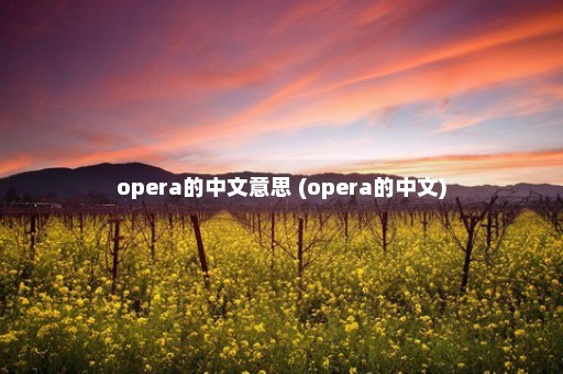 opera的中文意思 (opera的中文)