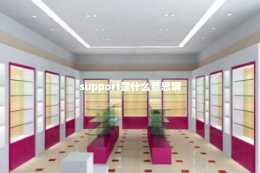 support是什么意思啊