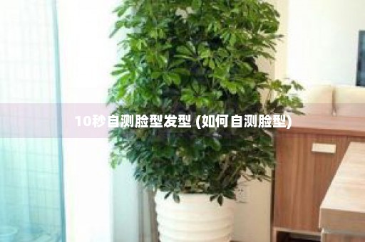 10秒自测脸型发型 (如何自测脸型)