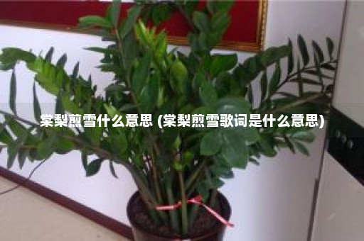 棠梨煎雪什么意思 (棠梨煎雪歌词是什么意思)