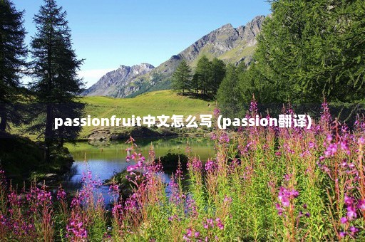 passionfruit中文怎么写 (passion翻译)