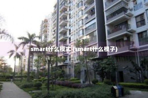 smart什么模式 (smart什么模子)