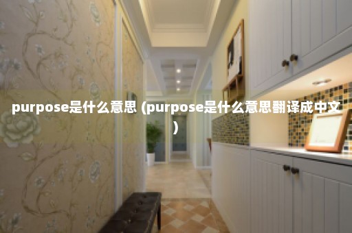 purpose是什么意思 (purpose是什么意思翻译成中文)