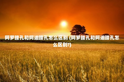 阿罗瞳孔和阿迪瞳孔怎么区别 (阿罗瞳孔和阿迪瞳孔怎么区别?)