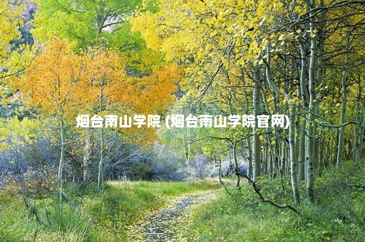 烟台南山学院 (烟台南山学院官网)