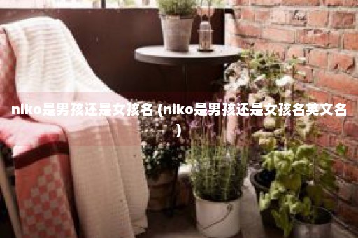 niko是男孩还是女孩名 (niko是男孩还是女孩名英文名)