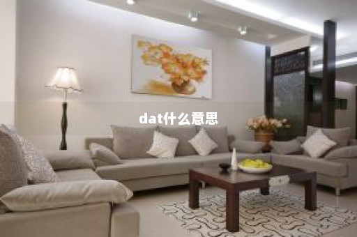 dat什么意思