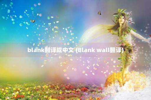 blank翻译成中文 (Blank wall翻译)