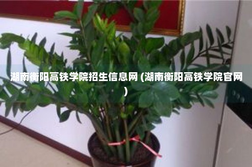 湖南衡阳高铁学院招生信息网 (湖南衡阳高铁学院官网)