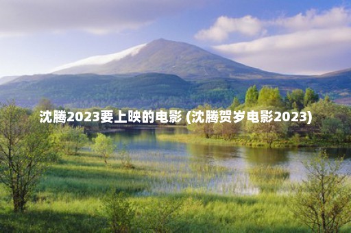 沈腾2023要上映的电影 (沈腾贺岁电影2023)