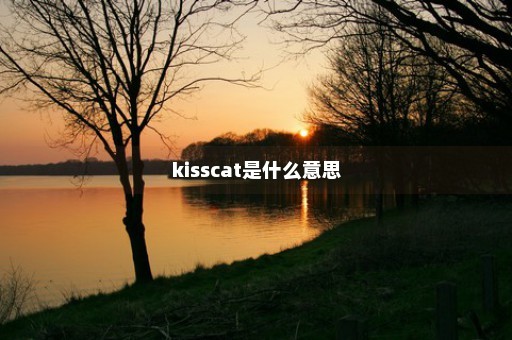 kisscat是什么意思