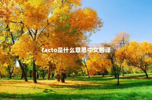 facto是什么意思中文翻译