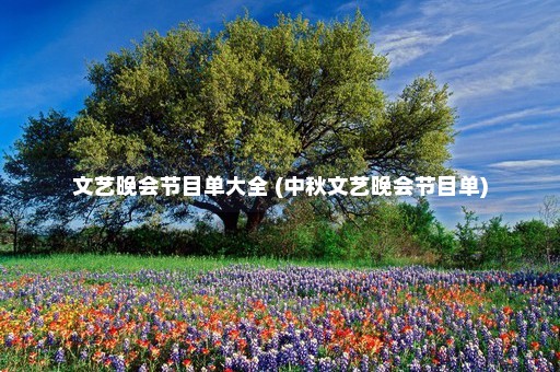 文艺晚会节目单大全 (中秋文艺晚会节目单)