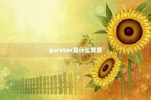 goretex是什么意思