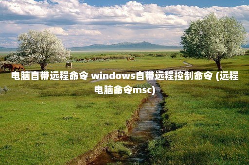 电脑自带远程命令 windows自带远程控制命令 (远程电脑命令msc)