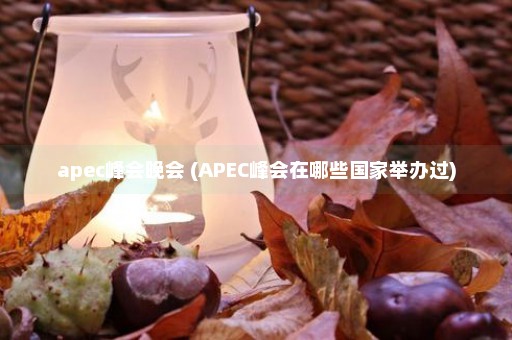 apec峰会晚会 (APEC峰会在哪些国家举办过)