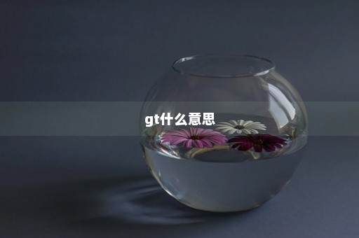 gt什么意思