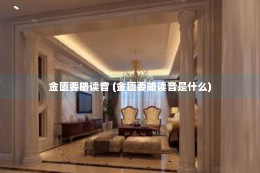 金匮要略读音 (金匮要略读音是什么)