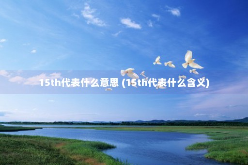 15th代表什么意思 (15th代表什么含义)